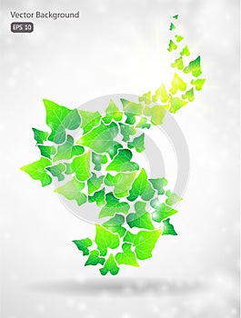 Vector green leaf background