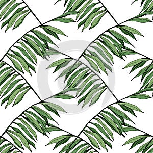 Vector Green leaf plant garden floral foliage. Engraved ink art. Palm beach tree leaves. Seamless background pattern.