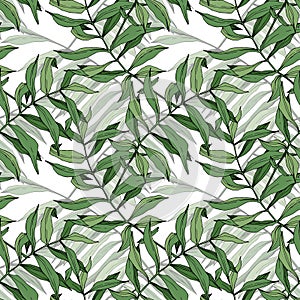 Vector Green leaf plant garden floral foliage. Engraved ink art. Palm beach tree leaves. Seamless background pattern.