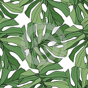 Vector Green leaf plant garden floral foliage. Engraved ink art. Palm beach tree leaves. Seamless background pattern.
