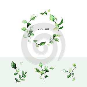 Vector green leaf wreath with place for text and set of branches with leaves in watercolor style.