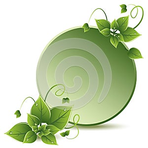 vector green leaves eco design