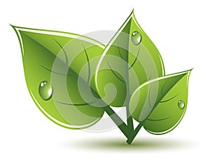 vector green leaves eco design