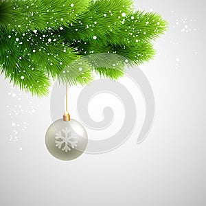 Vector Green Pine branches with white ball