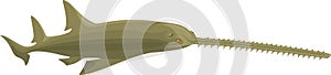 Vector green sawfish