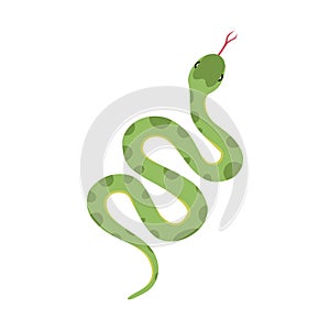 Vector of a green snake slithering