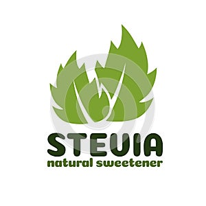 Vector green stevia leaves label