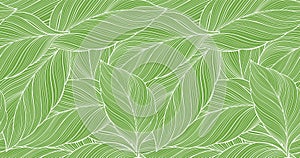 Vector green tropical background with palm leaves for decor, covers, backgrounds