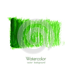 Vector greenery watercolor texture background