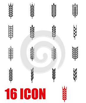 Vector grey wheat ear icon set