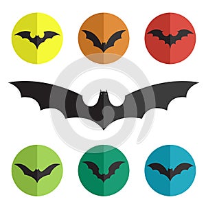 Vector group of bat