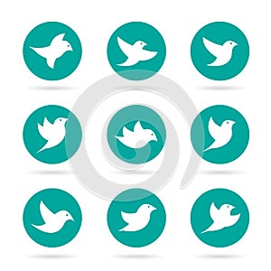 Vector group of bird in the circle