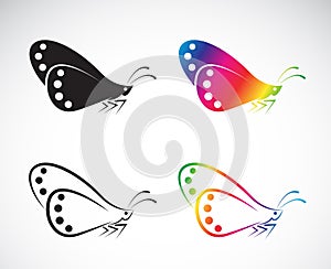 Vector group of butterfly design on white background. Insect.
