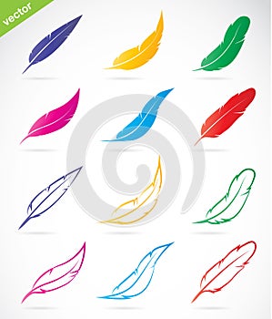 Vector group of colorful feather