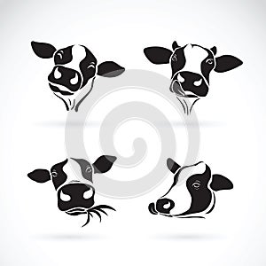 Vector group of a cow head design on white background. Farm