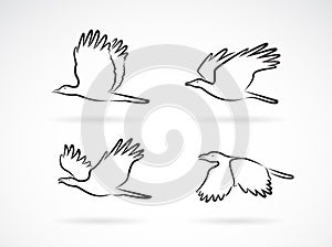 Vector group of crow flying on white background. Birds. Animals. Easy editable layered vectors illustration