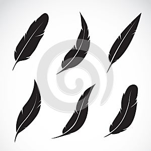 Vector group of feather