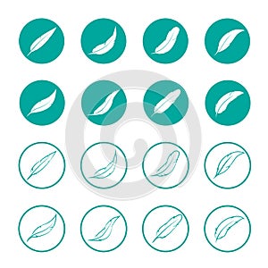 Vector group of feather in the circle