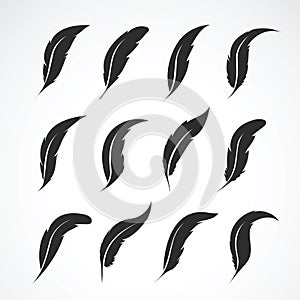 Vector group of feather on white background. Feathers symb