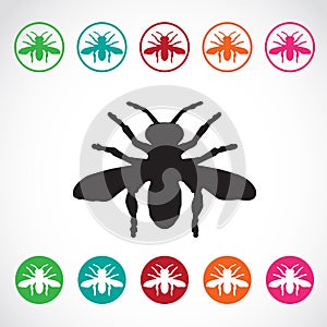Vector group of insects on white background.