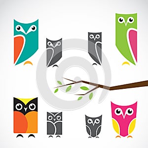 Vector group of owls and branch