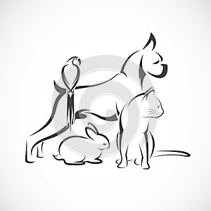 Vector group of pets - Dog, cat, bird, rabbit, isolated