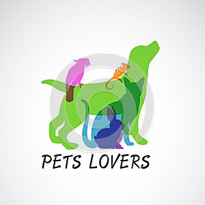 Vector group of pets - Dog, cat, parrot, chameleon, rabbit,  isolated on white background, Vector pets for your design. Animal