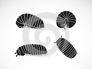 Vector of group of pill millipede wormOniscomorpha isolated on a white background. Worm icon or logo., Glomerida. Insect. Animal
