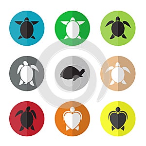 Vector group of turtle in the circle