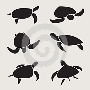 Vector group of turtle