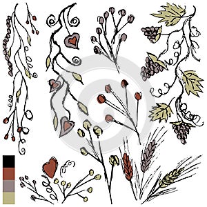 Vector grunge vintage set of floral decorative elements for design. Simple freehand drawings of twigs, spirals, spikelets, hearts