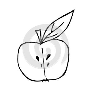 vector half apple in doodle style