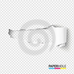 Vector half blank torn paper pieces of scroll with torn edges of hole on a transparent background for sale banner