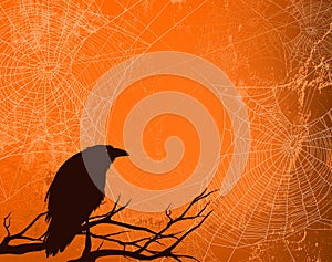 Vector halloween background of spooky black raven bird, spider web and bare tree branches