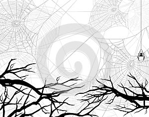 Vector halloween background of spooky forest with spider web and bare tree branches