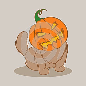 vector halloween pumpkin cat