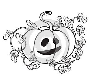 Vector halloween pumpkin with scary smile isolated on white, hand drawn graphic jack o lantern isolated on white
