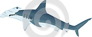 Vector hammerhead shark