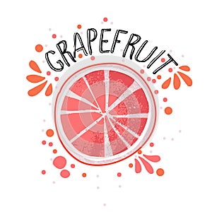 Vector hand draw grapefruit illustration. Half and slice of grapefruits with juice splashes isolated on white background