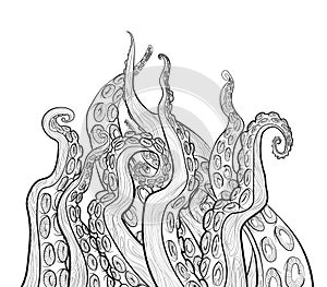 Vector hand draw illustration with octopus tentacles