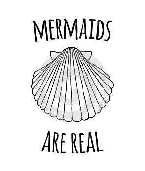 Vector hand draw shell and mermaid are real