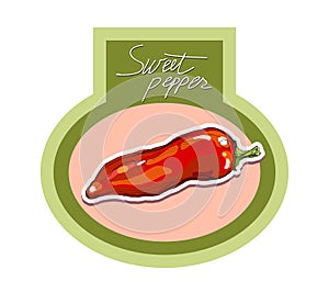 Vector hand drawing red hot peppers