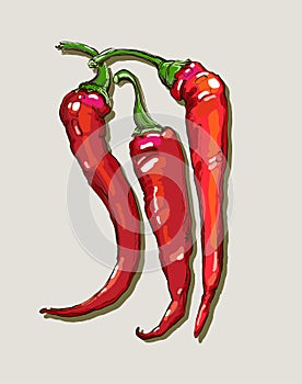 Vector hand drawing red hot peppers