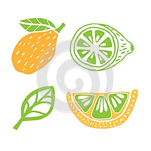 Vector Hand drawing a set of different lemons