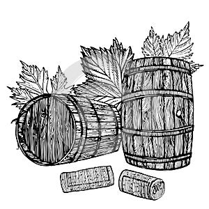 Vector hand drawing wine barrel with grape leaves. Ink drawn wooden barrel in rustic style. Isolated on white background