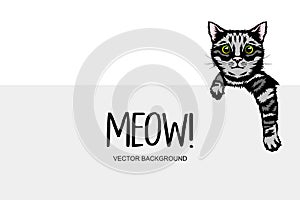 Vector Hand Drawm Striped Hiding Peeking Kitten. Tabby Kitten Head with Paws Up Peeking Over Blank White Placard, Poster