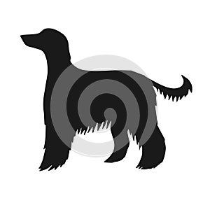 Vector hand drawn Afghan hound dog silhouette