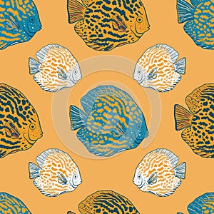Vector hand drawn angelfish seamless pattern print background.