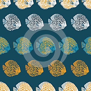 Vector hand drawn angelfish seamless pattern print background.