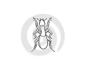 Vector hand drawn ant outline doodle icon, Ant sketch illustration for print